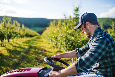 Eine Seitenansicht eines reifen Landwirts, der einen Minitraktor im Freien in einem Obstgarten fährt. - HPIF21232