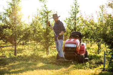 A mature farmer with hat working in orchard at sunset. Copy space. - HPIF21247