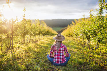 A rear view of female farmer with a hat sitting outdoors in orchard. Copy space. - HPIF21259