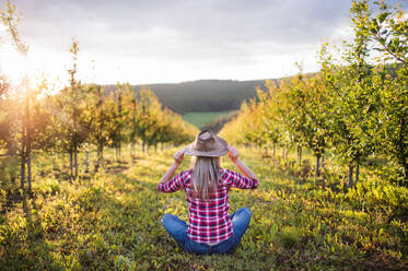 A rear view of female farmer with a hat sitting outdoors in orchard. Copy space. - HPIF21260