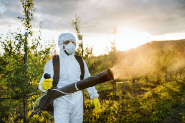 Ein Landwirt in einem Schutzanzug geht bei Sonnenuntergang in einem Obstgarten spazieren und verwendet Pestizid-Chemikalien. - HPIF21262