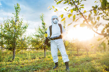 Ein Landwirt in einem Schutzanzug geht bei Sonnenuntergang in einem Obstgarten spazieren und verwendet Pestizid-Chemikalien. - HPIF21264