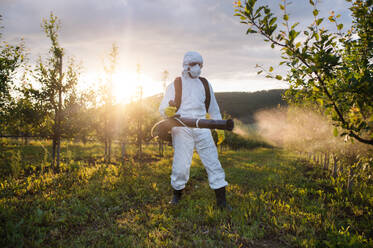 Ein Landwirt in einem Schutzanzug geht bei Sonnenuntergang in einem Obstgarten spazieren und verwendet Pestizid-Chemikalien. - HPIF21265