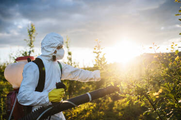 Ein Landwirt in einem Schutzanzug geht bei Sonnenuntergang in einem Obstgarten spazieren und verwendet Pestizid-Chemikalien. - HPIF21269