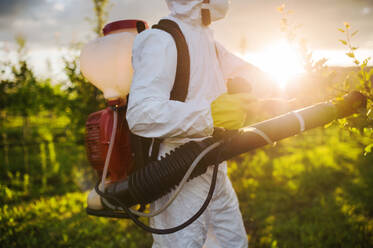 Ein Landwirt in einem Schutzanzug geht bei Sonnenuntergang in einem Obstgarten spazieren und verwendet Pestizid-Chemikalien. - HPIF21270