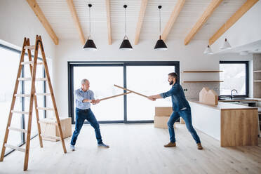 Zwei fröhliche Männer, die sich beim Einrichten eines neuen Hauses amüsieren, ein neues Hauskonzept. - HPIF21309
