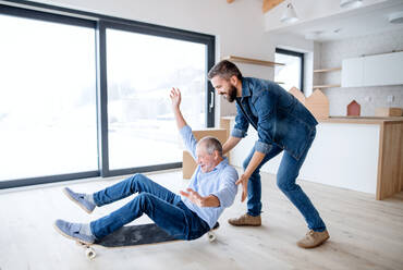 Two cheerful men having fun when furnishing new house, a new home concept. - HPIF21310