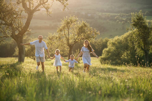Glückliche junge Familie mit zwei kleinen Kindern, die bei Sonnenuntergang auf einer Wiese spazieren gehen. - HPIF21344