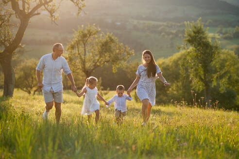 Glückliche junge Familie mit zwei kleinen Kindern, die bei Sonnenuntergang auf einer Wiese spazieren gehen. - HPIF21345
