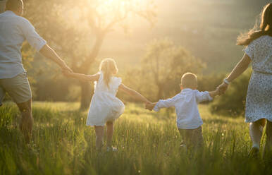 Rückansicht einer Familie mit zwei kleinen Kindern, die bei Sonnenuntergang auf einer Wiese spazieren gehen, Mitte. - HPIF21347