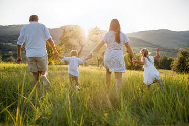 Eine Rückansicht einer Familie mit zwei kleinen Kindern, die bei Sonnenuntergang auf einer Wiese spazieren gehen. - HPIF21350