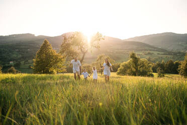 Glückliche junge Familie mit zwei kleinen Kindern, die bei Sonnenuntergang auf einer Wiese spazieren gehen. - HPIF21351