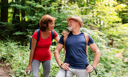 Ein älteres Touristenpaar mit Rucksäcken bei einem Spaziergang im Wald in der Natur. - HPIF21376