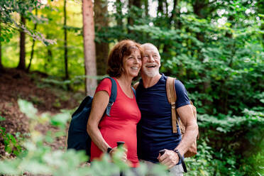 Ein älteres Touristenpaar mit Rucksäcken bei einem Spaziergang im Wald in der Natur. - HPIF21379