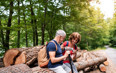 Älteres Touristenpaar mit Stahlflasche bei einem Spaziergang im Wald in der Natur, sitzend und trinkend. - HPIF21383