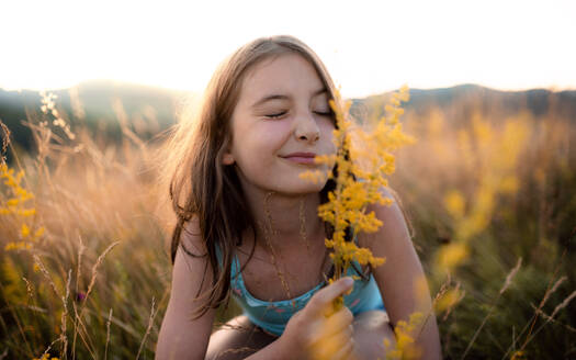 A portrait of happy small girl in grass in nature, holding flower. - HPIF21427