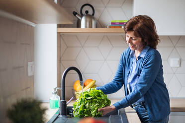 Ein Porträt einer glücklichen älteren Frau zu Hause, die Salatgemüse wäscht. - HPIF21454