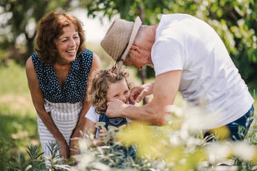 Ältere Großeltern und Enkelin bei der Gartenarbeit im Hinterhof. Mann, Frau und ein kleines Mädchen arbeiten. - HPIF21539