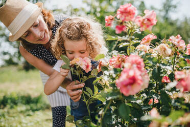 Ein kleines Mädchen mit einer älteren Großmutter, die im Garten an Rosen riecht. - HPIF21548