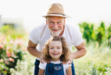 Portrait of small girl with senior grandfather in the backyard garden, standing and looking at camera. - HPIF21550
