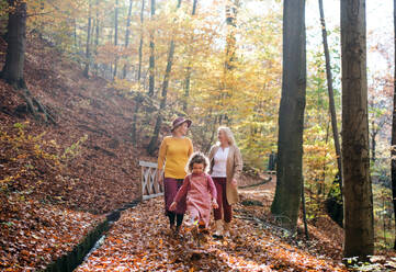Kleines Mädchen mit Mutter und Großmutter bei einem Spaziergang im Herbstwald, im Gespräch. - HPIF21625