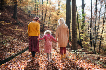Rückansicht eines kleinen Mädchens mit Mutter und Großmutter bei einem Spaziergang im Herbstwald, die sich an den Händen halten. - HPIF21627