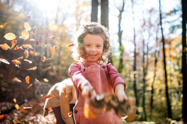 Kleines Mädchen mit nicht erkennbarer Mutter bei einem Spaziergang im Herbstwald, Blätter werfend. - HPIF21632