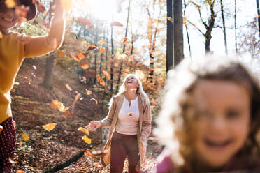 Glückliches kleines Mädchen mit Mutter und Großmutter bei einem Spaziergang im Herbstwald, Mitte. - HPIF21633