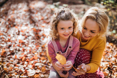 Draufsicht auf ein kleines Mädchen mit seiner Mutter bei einem Spaziergang im Herbstwald, das sich ausruht. - HPIF21635