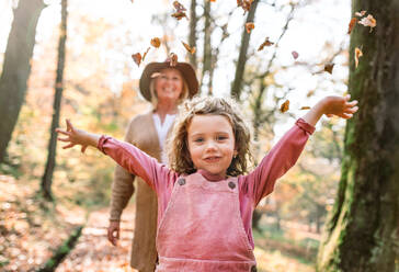 Portrait of small girl with grandmother on a walk in autumn forest, having fun. - HPIF21636
