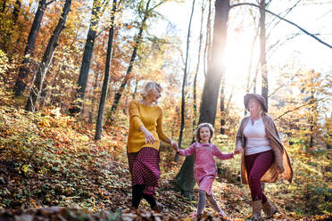 Kleines Mädchen mit Mutter und Großmutter bei einem Spaziergang im Herbstwald, im Gespräch. - HPIF21637