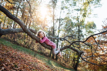 Porträt eines kleinen Mädchens, das auf einem Ast im Herbstwald liegt und Spaß hat. - HPIF21639