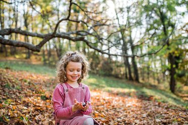 Glückliches kleines Mädchen im herbstlichen Wald, das Kastanien sammelt. - HPIF21644