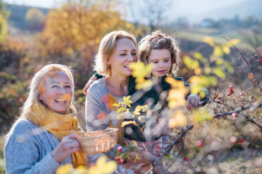 Glückliches kleines Mädchen mit Mutter und Großmutter beim Sammeln von Hagebuttenfrüchten in der herbstlichen Natur. - HPIF21653