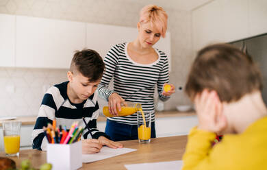 Eine junge Frau mit zwei glücklichen Kindern malt in einer Küche. - HPIF21681