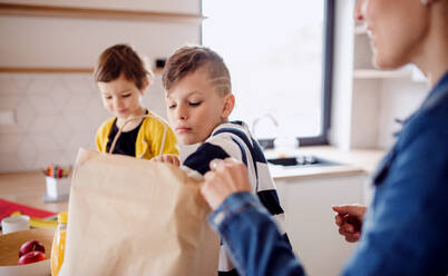 A happy young woman with two children unpacking shopping in a kitchen, midsection. - HPIF22014