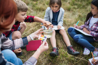 Eine Gruppe von kleinen Schulkindern mit einem Lehrer auf einem Ausflug in die Natur, um Wissenschaft zu lernen. - HPIF22132