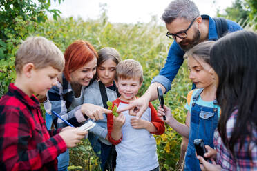 A group of small school children with teacher on field trip in nature, learning science. - HPIF22140