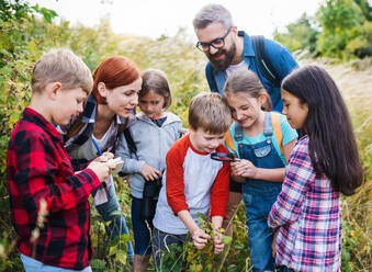 Eine Gruppe von kleinen Schulkindern mit einem Lehrer auf einem Ausflug in die Natur, um Wissenschaft zu lernen. - HPIF22141