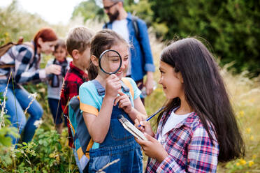 Eine Gruppe von kleinen Schulkindern mit einem Lehrer auf einem Ausflug in die Natur, um Wissenschaft zu lernen. - HPIF22142