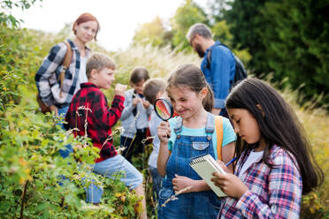 Eine Gruppe von kleinen Schulkindern mit einem Lehrer auf einem Ausflug in die Natur, um Wissenschaft zu lernen. - HPIF22143