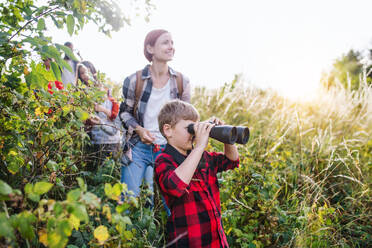 Eine Gruppe von Schulkindern mit Lehrer auf Exkursion in der Natur, mit Fernglas. - HPIF22146