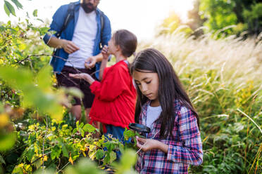 A group of small school children with teacher on field trip in nature, learning science. - HPIF22147