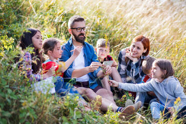 A group of small school children with teacher on field trip in nature. - HPIF22151