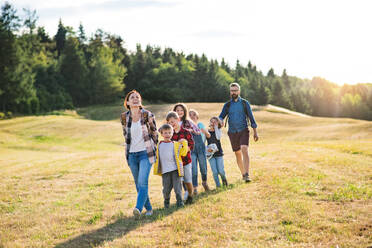 Eine Gruppe von kleinen Schulkindern mit Lehrer auf Exkursion in der Natur, beim Wandern. - HPIF22191