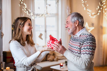 Portrait of senior man giving present to happy granddaughter indoors at home at Christmas. - HPIF22235