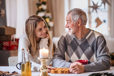 Porträt einer jungen Frau mit ihrem Großvater, die zu Weihnachten zu Hause Brettspiele spielen. - HPIF22273