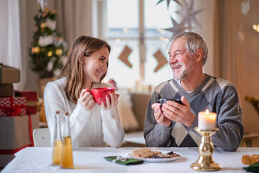 Porträt einer jungen Frau mit ihrem Großvater zu Hause an Weihnachten, beim Teetrinken. - HPIF22275