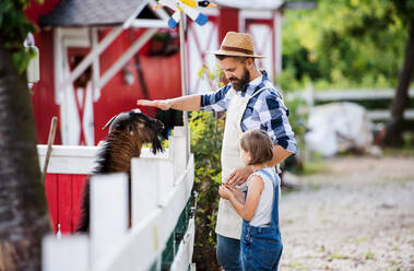 Ein Vater mit seiner kleinen Tochter auf dem Bauernhof der Familie, der die Ziegen füttert. - HPIF22289