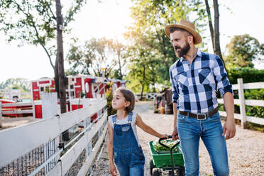 A mature father and small daughter with rubber boots walking outdoors on small family farm. - HPIF22301